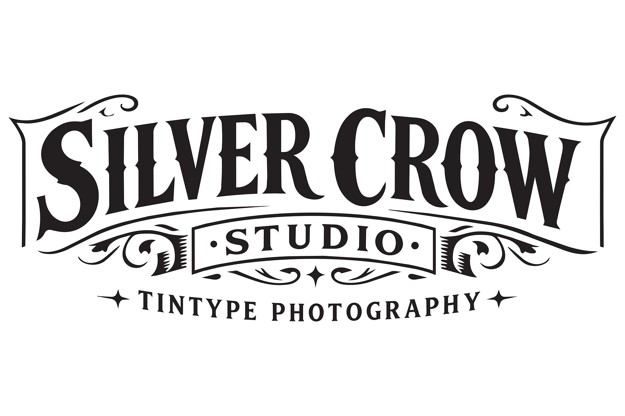 silver crow logo banner web
