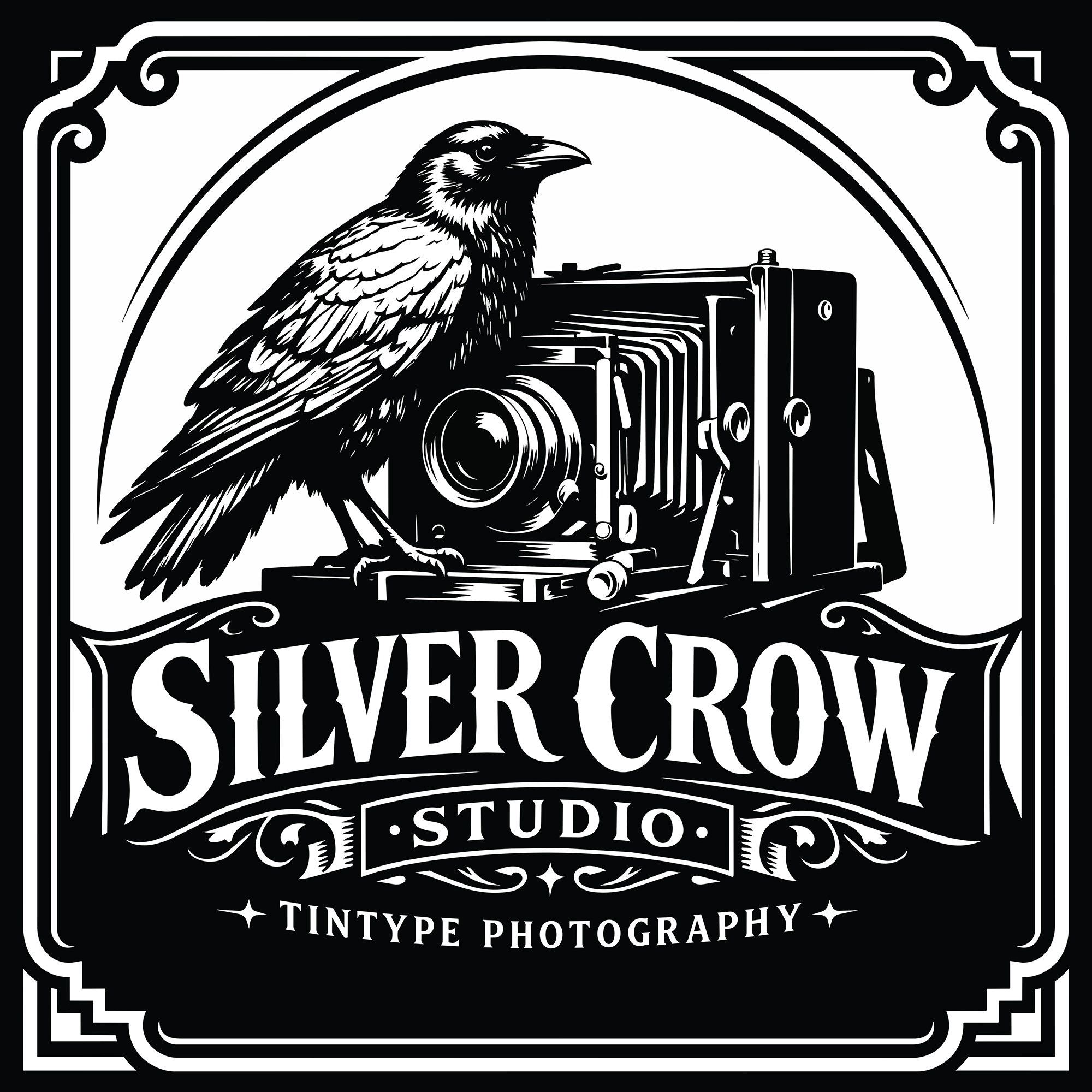 silver crow logo medium web